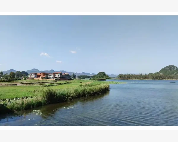 B2B柚子产业如何打通线上交易快车道_实操建议:别靠猜,用合同把坑填平
