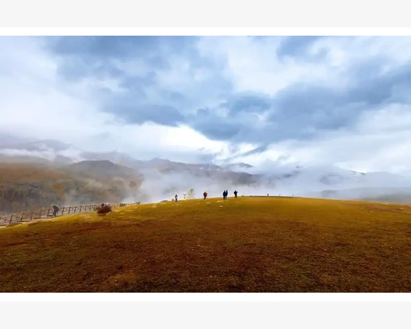 质量分析磁铁在不同行业的应用差异_履带式挖掘机操作要点与日常保养技巧