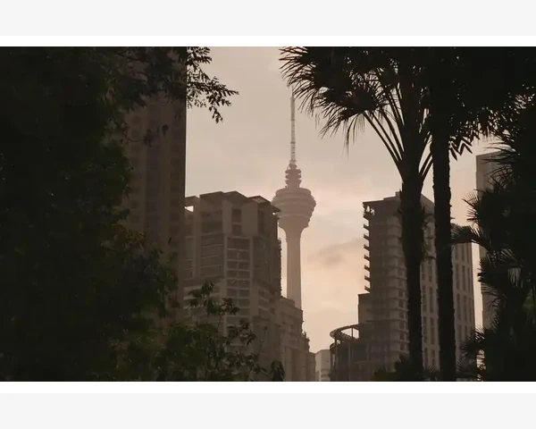 MT4止损触发流动性不足会变市价单吗_成交量与MACD辅助确认趋势变化信号