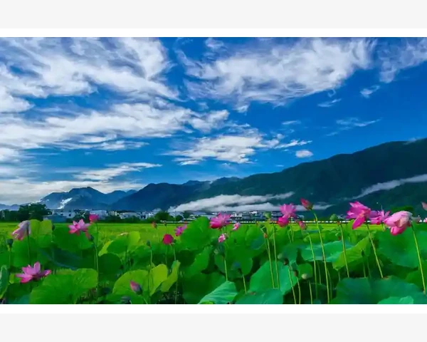 MT4资金管理函数动态计算固定比例手数实战编写_价格变动对修改操作产生的实际影响