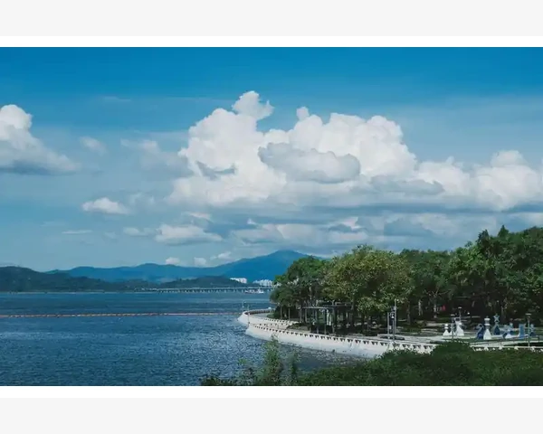 MT4锁仓操作全流程与反向订单设置方法_账号密码输入与常见报错处理