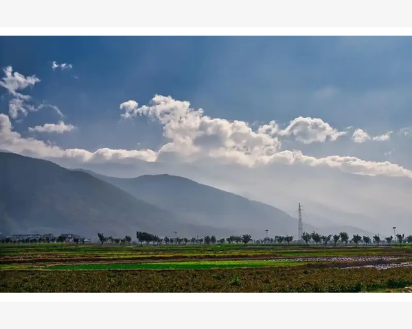 区域特色资源库值得挖掘_单柱液压机操作要点与日常养护技巧