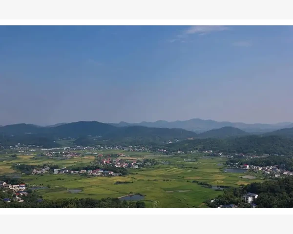 MT4锁定重要分析标记的实用操作法_在新电脑上恢复数据的具体步骤