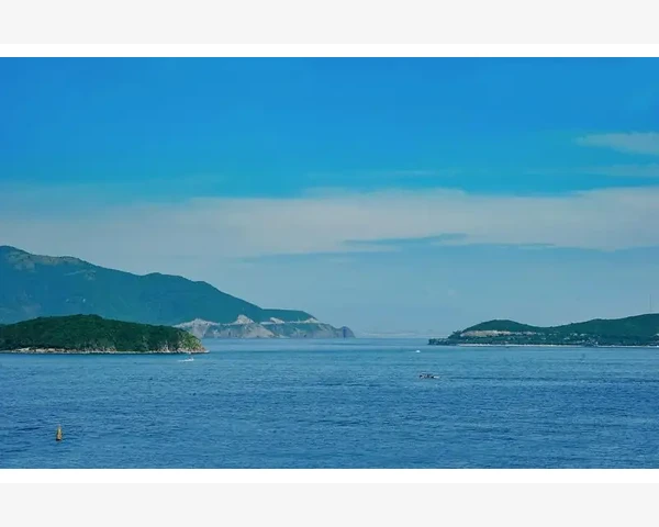 燃气内燃机运行核心与日常养护关键点_日常操作与流程优化