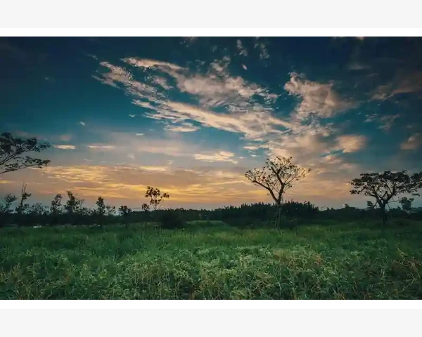 外贸退税对接B2B能否打通企业需求_全能跑动者的战术价值