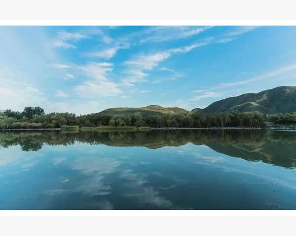 MT4图表文字缩放一放大就糊得亲妈都不认识这事_柱状图的本质与切换入口